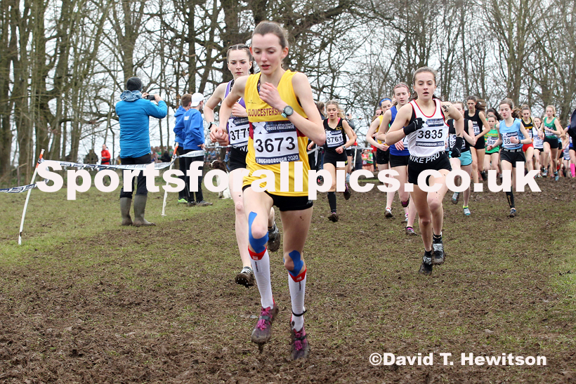 Girls under-15s, 2020 British Athletics Inter Counties Cross Country Champs., Prestwold Hall, Loughborough. Photo: David T. Hewitson/Sports for All Pics